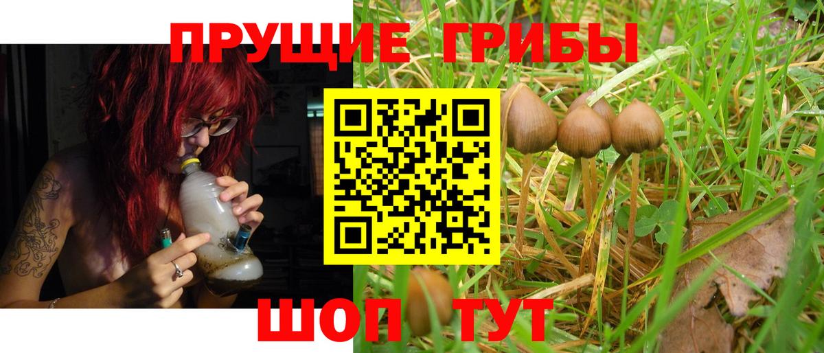 Псилоцибиновые грибы ЛСД Рязань